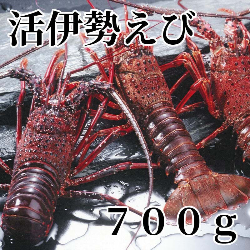 活伊勢えび　700g 送料込み ギフト プレゼント 贈答 お取り寄せ お土産 (レビュー記入で300円OFFクーポン配布中)