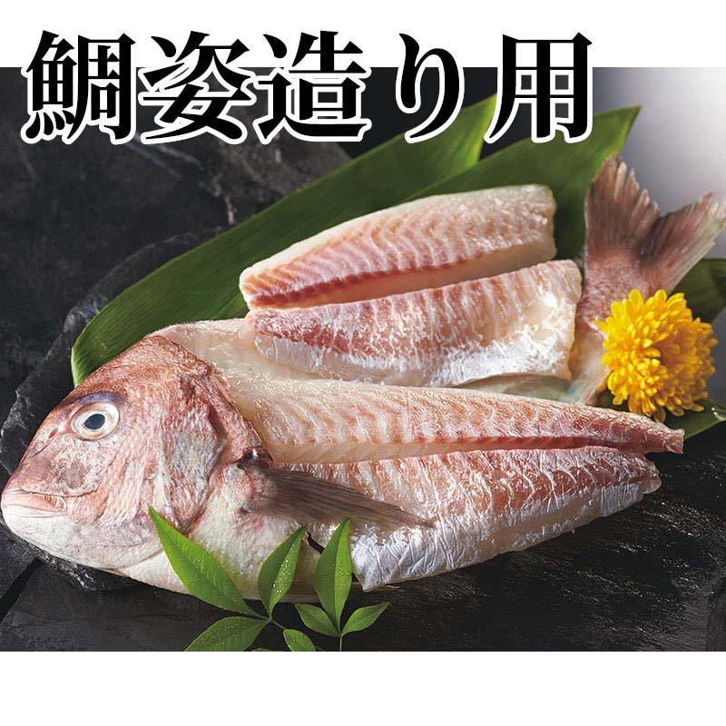 1kg以上の真鯛だけを選び、頭と骨をつけたままの5枚おろしに仕上げました。ご家庭で姿造りをご賞味ください。【商品提供者コメント】 ●名称／鯛の姿造り ●商品内容／750g（頭・骨含む） ●原産地／三重県（養殖） ●消費期間／冷蔵で5日　 ●原材料／真鯛（三重県産・養殖） ●保存方法／要冷蔵（5℃以下） ●製造者名(加工業者名)／（有）ケイ・エフ・エス（三重県鳥羽市鳥羽1丁目18-2） 【キャンセルについて】 ●お申し込み後のキャンセルは、原則受け付けておりません。 【配送について】 ●こちらの商品は6日〜10日程度でお届けいたします。 また、冷蔵便でのお届けとなります。あらかじめご了承下さい。 ※農産物、水産物等については天候、作柄状況により、商品のお届けが前後する場合がございます。あらかじめご了承ください。 ●年内お届けのご希望は、2026年12月15日（火）までにお申込みください。12月16日（水）以降は年内にお届けできない場合があります。 なお、年始の発送は2027年1月6日（水）からとなります。 ●お届けまでに祝日・大型連休・年末年始等をはさむ場合、お届けに日数がかかることがございます。あらかじめご了承ください。 ●お受け取り頂けない商品につきましては、再発送、ご返金、ポイントの返還は致しかねます。あらかじめご了承下さい。 【のし・について】 ●一部の商品はのしのご希望を承ります。 ※選択肢にないのしの種類はお選びいただけません。 ※名入れはお受けできません。 ※商品によっては「短冊のし」や「簡易のしシール」でお届けとなる場合がございます。 ※ゆうパケットでお届けする商品にはご指定できません。 ●「御歳暮のし」をご指定いただきました商品は、配達希望日のご指定がない場合は2026年12月1日（火）以降順次お届けいたします。 ※青果物等、配達期間限定の商品は「御歳暮のし」をご指定いただいても、12月1日（火）以前にお届けする場合がありますので、あらかじめご了承ください。 【配達不可地域について】 ●島しょ（東京都・鹿児島県・沖縄県）の一部へのお届けについては、生もの（消費・賞味期間5日以内）・生鮮品 （果物・野菜・活魚介類）の一部・冷凍品・生花（セット商品を含む）は受付ができませんのでご了承ください。 【その他ご注意】 ※表示価格（商品代金）には送料・消費税が含まれています。 ※商品画像はイメージです。「商品内容」として記載されていないものや「小道具類」はお届けする商品に含まれておりませんので、商品内容をお確かめの上、お申込みください。 ※消費・賞味期間5日以内の商品をお申込みの場合は、お届けが消費・賞味期限の最終日になることがありますのでご了承ください。 ※青果物のサイズ指定はできません。天候によりお届け期間が変更になる場合がございます。果物については種が入る場合もあります。 ※「消費期間」は製造(加工)日から安全に召し上がれる日まで、「賞味期間」は製造(加工)日から品質の保持が十分に可能な日までをそれぞれ期間で表示しています。お届け日からの期間を保証するものではありません。 ※複数の商品がセットになっている場合、最も短い期間を表示しています。なお、法律に基づく賞味（消費）期限については、各お届け商品に記載しています。 ※花卉・花弁の開花状態及び花色、リボン、ラッピング(包装)等は多少異なる場合があります。 ※商品のパッケージ・小物のデザインは変更になる場合があります。 ※複数商品の一括送付及び同時発送はできません。また、ご依頼主様とお届け先様が同じ場合、同日のお申込みであっても商品によりお届け日が異なる場合がございますので、あらかじめご了承ください。 ※天候や生育状況等により予定の時期よりもお届けが前後することがございます。その際は、早着・ 遅延のご案内、代替商品又は解約等のご案内をさせていただく場合がございます。 【季節の贈り物に】 お年賀 迎春 お正月 年末年始 バレンタイン ホワイトデー 卒業式 卒園式 入学式 入園式 母の日 父の日 御中元 お中元 暑中御見舞 残暑御見舞 敬老の日 ハロウィン クリスマス 冬ギフト お歳暮 御歳暮 【ちょっとした手土産・プレゼントに】 御祝 御礼 謝礼 御挨拶 粗品 お使い物 贈答品 ギフト プレゼント お土産 手土産 贈りもの 進物 お返し 【お祝い・お返しの品に】 引き出物 お祝い 内祝 結婚祝 結婚内祝 出産祝 出産内祝 引き菓子 快気祝 快気内祝 プチギフト 結婚引出物 七五三 卒業祝い 卒園祝い 入学祝い 入園祝い 進学内祝 入学内祝 寿 開店祝 開業祝 新築祝