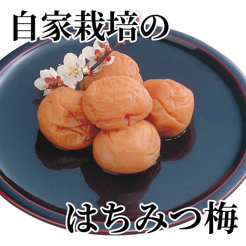 自家栽培のはちみつ梅 送料込み ギフト プレゼント 贈答 お取り寄せ お土産 (レビ...