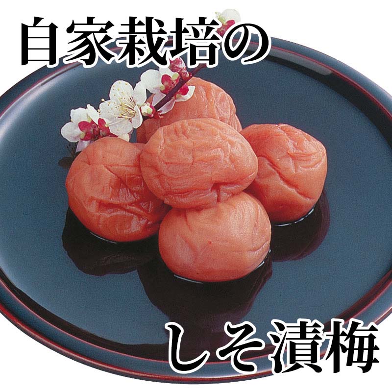 小竹農園が苗木から育てた梅をまろやかに仕上げました。自慢の梅干をぜひともご賞味ください。【商品提供者コメント】 ●名称／調味梅干 ●商品内容／500g（約塩分6％） ●原料原産地／うめ＝和歌山県産　しそ＝国産 ●賞味期間／常温で6ヵ月　 ●原材料／梅、しそ、漬け原材料（還元水飴、果糖ぶどう糖液糖、食塩、醸造酢、しそ液）／酒精、調味料（アミノ酸）、酸味料、V.B1、野菜色素、甘味料（スクラロース） ●保存方法／直射日光を避け冷暗所で保存して下さい ●製造者名(加工業者名)／株式会社小竹農園（和歌山県田辺市中三栖602） 【キャンセルについて】 ●お申し込み後のキャンセルは、原則受け付けておりません。 【配送について】 ●こちらの商品は6日〜10日程度でお届けいたします。 また、常温便でのお届けとなります。あらかじめご了承下さい。 ※農産物、水産物等については天候、作柄状況により、商品のお届けが前後する場合がございます。あらかじめご了承ください。 ●年内お届けのご希望は、2026年12月15日（火）までにお申込みください。12月16日（水）以降は年内にお届けできない場合があります。 なお、年始の発送は2027年1月6日（水）からとなります。 ●お届けまでに祝日・大型連休・年末年始等をはさむ場合、お届けに日数がかかることがございます。あらかじめご了承ください。 ●お受け取り頂けない商品につきましては、再発送、ご返金、ポイントの返還は致しかねます。あらかじめご了承下さい。 【のし・について】 ●一部の商品はのしのご希望を承ります。 ※選択肢にないのしの種類はお選びいただけません。 ※名入れはお受けできません。 ※商品によっては「短冊のし」や「簡易のしシール」でお届けとなる場合がございます。 ※ゆうパケットでお届けする商品にはご指定できません。 ●「御歳暮のし」をご指定いただきました商品は、配達希望日のご指定がない場合は2026年12月1日（火）以降順次お届けいたします。 ※青果物等、配達期間限定の商品は「御歳暮のし」をご指定いただいても、12月1日（火）以前にお届けする場合がありますので、あらかじめご了承ください。 【配達不可地域について】 ●島しょ（東京都・鹿児島県・沖縄県）の一部へのお届けについては、生もの（消費・賞味期間5日以内）・生鮮品 （果物・野菜・活魚介類）の一部・冷凍品・生花（セット商品を含む）は受付ができませんのでご了承ください。 【その他ご注意】 ※表示価格（商品代金）には送料・消費税が含まれています。 ※商品画像はイメージです。「商品内容」として記載されていないものや「小道具類」はお届けする商品に含まれておりませんので、商品内容をお確かめの上、お申込みください。 ※消費・賞味期間5日以内の商品をお申込みの場合は、お届けが消費・賞味期限の最終日になることがありますのでご了承ください。 ※青果物のサイズ指定はできません。天候によりお届け期間が変更になる場合がございます。果物については種が入る場合もあります。 ※「消費期間」は製造(加工)日から安全に召し上がれる日まで、「賞味期間」は製造(加工)日から品質の保持が十分に可能な日までをそれぞれ期間で表示しています。お届け日からの期間を保証するものではありません。 ※複数の商品がセットになっている場合、最も短い期間を表示しています。なお、法律に基づく賞味（消費）期限については、各お届け商品に記載しています。 ※花卉・花弁の開花状態及び花色、リボン、ラッピング(包装)等は多少異なる場合があります。 ※商品のパッケージ・小物のデザインは変更になる場合があります。 ※複数商品の一括送付及び同時発送はできません。また、ご依頼主様とお届け先様が同じ場合、同日のお申込みであっても商品によりお届け日が異なる場合がございますので、あらかじめご了承ください。 ※天候や生育状況等により予定の時期よりもお届けが前後することがございます。その際は、早着・ 遅延のご案内、代替商品又は解約等のご案内をさせていただく場合がございます。 【季節の贈り物に】 お年賀 迎春 お正月 年末年始 バレンタイン ホワイトデー 卒業式 卒園式 入学式 入園式 母の日 父の日 御中元 お中元 暑中御見舞 残暑御見舞 敬老の日 ハロウィン クリスマス 冬ギフト お歳暮 御歳暮 【ちょっとした手土産・プレゼントに】 御祝 御礼 謝礼 御挨拶 粗品 お使い物 贈答品 ギフト プレゼント お土産 手土産 贈りもの 進物 お返し 【お祝い・お返しの品に】 引き出物 お祝い 内祝 結婚祝 結婚内祝 出産祝 出産内祝 引き菓子 快気祝 快気内祝 プチギフト 結婚引出物 七五三 卒業祝い 卒園祝い 入学祝い 入園祝い 進学内祝 入学内祝 寿 開店祝 開業祝 新築祝