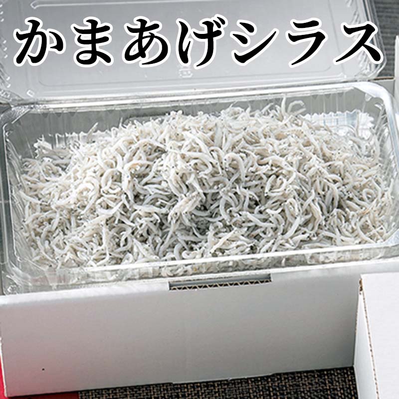 紀伊水道で獲れた「かまあげシラス」を素朴な味に仕上げました。【商品提供者コメント】 ●名称／釜揚げしらす ●商品内容／350g×2 ●原料原産地／いわしの稚魚＝紀伊水道産 ●賞味期間／冷蔵で7日　 ●原材料／いわしの稚魚、食塩 ●保存方法／要冷蔵（10℃以下） ●製造者名(加工業者名)／玉善商店（玉置宗範）（和歌山県有田市千田176） 【キャンセルについて】 ●お申し込み後のキャンセルは、原則受け付けておりません。 【配送について】 ●こちらの商品は6日〜10日程度でお届けいたします。 また、冷蔵便でのお届けとなります。あらかじめご了承下さい。 ※農産物、水産物等については天候、作柄状況により、商品のお届けが前後する場合がございます。あらかじめご了承ください。 ●年内お届けのご希望は、2026年12月15日（火）までにお申込みください。12月16日（水）以降は年内にお届けできない場合があります。 なお、年始の発送は2027年1月6日（水）からとなります。 ●お届けまでに祝日・大型連休・年末年始等をはさむ場合、お届けに日数がかかることがございます。あらかじめご了承ください。 ●お受け取り頂けない商品につきましては、再発送、ご返金、ポイントの返還は致しかねます。あらかじめご了承下さい。 【のし・について】 ●一部の商品はのしのご希望を承ります。 ※選択肢にないのしの種類はお選びいただけません。 ※名入れはお受けできません。 ※商品によっては「短冊のし」や「簡易のしシール」でお届けとなる場合がございます。 ※ゆうパケットでお届けする商品にはご指定できません。 ●「御歳暮のし」をご指定いただきました商品は、配達希望日のご指定がない場合は2026年12月1日（火）以降順次お届けいたします。 ※青果物等、配達期間限定の商品は「御歳暮のし」をご指定いただいても、12月1日（火）以前にお届けする場合がありますので、あらかじめご了承ください。 【配達不可地域について】 ●島しょ（東京都・鹿児島県・沖縄県）の一部へのお届けについては、生もの（消費・賞味期間5日以内）・生鮮品 （果物・野菜・活魚介類）の一部・冷凍品・生花（セット商品を含む）は受付ができませんのでご了承ください。 【その他ご注意】 ※表示価格（商品代金）には送料・消費税が含まれています。 ※商品画像はイメージです。「商品内容」として記載されていないものや「小道具類」はお届けする商品に含まれておりませんので、商品内容をお確かめの上、お申込みください。 ※消費・賞味期間5日以内の商品をお申込みの場合は、お届けが消費・賞味期限の最終日になることがありますのでご了承ください。 ※青果物のサイズ指定はできません。天候によりお届け期間が変更になる場合がございます。果物については種が入る場合もあります。 ※「消費期間」は製造(加工)日から安全に召し上がれる日まで、「賞味期間」は製造(加工)日から品質の保持が十分に可能な日までをそれぞれ期間で表示しています。お届け日からの期間を保証するものではありません。 ※複数の商品がセットになっている場合、最も短い期間を表示しています。なお、法律に基づく賞味（消費）期限については、各お届け商品に記載しています。 ※花卉・花弁の開花状態及び花色、リボン、ラッピング(包装)等は多少異なる場合があります。 ※商品のパッケージ・小物のデザインは変更になる場合があります。 ※複数商品の一括送付及び同時発送はできません。また、ご依頼主様とお届け先様が同じ場合、同日のお申込みであっても商品によりお届け日が異なる場合がございますので、あらかじめご了承ください。 ※天候や生育状況等により予定の時期よりもお届けが前後することがございます。その際は、早着・ 遅延のご案内、代替商品又は解約等のご案内をさせていただく場合がございます。 【季節の贈り物に】 お年賀 迎春 お正月 年末年始 バレンタイン ホワイトデー 卒業式 卒園式 入学式 入園式 母の日 父の日 御中元 お中元 暑中御見舞 残暑御見舞 敬老の日 ハロウィン クリスマス 冬ギフト お歳暮 御歳暮 【ちょっとした手土産・プレゼントに】 御祝 御礼 謝礼 御挨拶 粗品 お使い物 贈答品 ギフト プレゼント お土産 手土産 贈りもの 進物 お返し 【お祝い・お返しの品に】 引き出物 お祝い 内祝 結婚祝 結婚内祝 出産祝 出産内祝 引き菓子 快気祝 快気内祝 プチギフト 結婚引出物 七五三 卒業祝い 卒園祝い 入学祝い 入園祝い 進学内祝 入学内祝 寿 開店祝 開業祝 新築祝