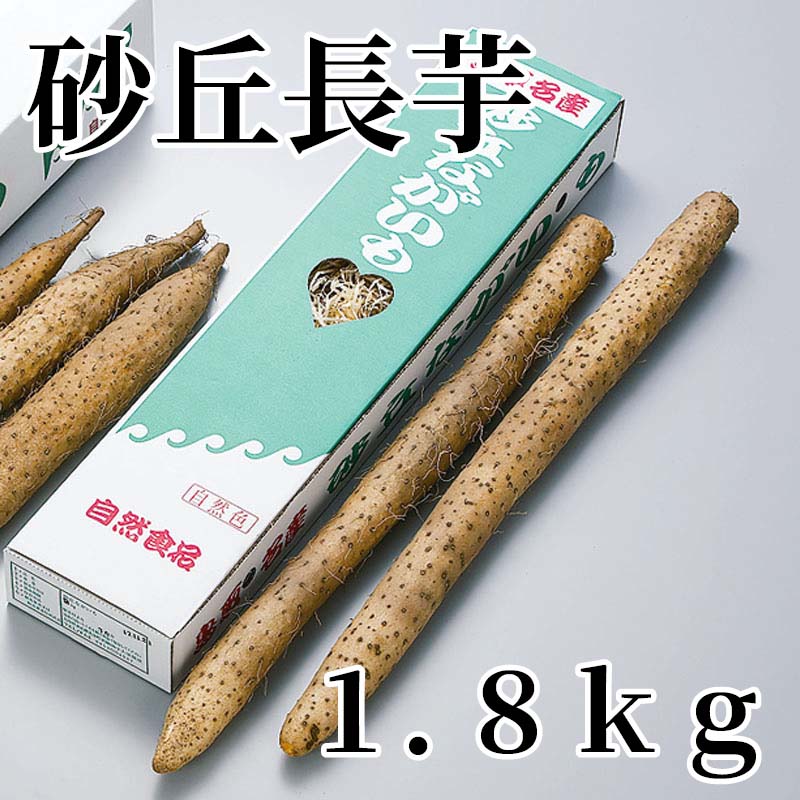 砂丘長芋　1．8kg 送料込み ギフト プレゼント 贈答 お取り寄せ お土産 (レビュー記入で300円OFFクーポン配布中)