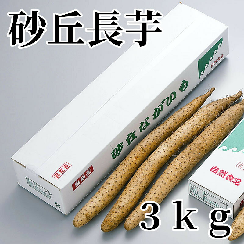 砂丘の厳しい条件の中で育まれた砂丘長芋をお届けします。是非、お召し上がりください。【商品提供者コメント】 ●名称／長芋 ●商品内容／3kg（2〜3本） ●原産地／鳥取県　 ●原材料／●保存方法／●製造者名(加工業者名)／ 【キャンセルについて】 ●お申し込み後のキャンセルは、原則受け付けておりません。 【配送について】 ●こちらの商品は6日〜10日程度でお届けいたします。 また、常温便でのお届けとなります。あらかじめご了承下さい。 ※農産物、水産物等については天候、作柄状況により、商品のお届けが前後する場合がございます。あらかじめご了承ください。 ●年内お届けのご希望は、2026年12月15日（火）までにお申込みください。12月16日（水）以降は年内にお届けできない場合があります。 なお、年始の発送は2027年1月6日（水）からとなります。 ●お届けまでに祝日・大型連休・年末年始等をはさむ場合、お届けに日数がかかることがございます。あらかじめご了承ください。 ●お受け取り頂けない商品につきましては、再発送、ご返金、ポイントの返還は致しかねます。あらかじめご了承下さい。 【のし・について】 ●一部の商品はのしのご希望を承ります。 ※選択肢にないのしの種類はお選びいただけません。 ※名入れはお受けできません。 ※商品によっては「短冊のし」や「簡易のしシール」でお届けとなる場合がございます。 ※ゆうパケットでお届けする商品にはご指定できません。 ●「御歳暮のし」をご指定いただきました商品は、配達希望日のご指定がない場合は2026年12月1日（火）以降順次お届けいたします。 ※青果物等、配達期間限定の商品は「御歳暮のし」をご指定いただいても、12月1日（火）以前にお届けする場合がありますので、あらかじめご了承ください。 【配達不可地域について】 ●島しょ（東京都・鹿児島県・沖縄県）の一部へのお届けについては、生もの（消費・賞味期間5日以内）・生鮮品 （果物・野菜・活魚介類）の一部・冷凍品・生花（セット商品を含む）は受付ができませんのでご了承ください。 【その他ご注意】 ※表示価格（商品代金）には送料・消費税が含まれています。 ※商品画像はイメージです。「商品内容」として記載されていないものや「小道具類」はお届けする商品に含まれておりませんので、商品内容をお確かめの上、お申込みください。 ※消費・賞味期間5日以内の商品をお申込みの場合は、お届けが消費・賞味期限の最終日になることがありますのでご了承ください。 ※青果物のサイズ指定はできません。天候によりお届け期間が変更になる場合がございます。果物については種が入る場合もあります。 ※「消費期間」は製造(加工)日から安全に召し上がれる日まで、「賞味期間」は製造(加工)日から品質の保持が十分に可能な日までをそれぞれ期間で表示しています。お届け日からの期間を保証するものではありません。 ※複数の商品がセットになっている場合、最も短い期間を表示しています。なお、法律に基づく賞味（消費）期限については、各お届け商品に記載しています。 ※花卉・花弁の開花状態及び花色、リボン、ラッピング(包装)等は多少異なる場合があります。 ※商品のパッケージ・小物のデザインは変更になる場合があります。 ※複数商品の一括送付及び同時発送はできません。また、ご依頼主様とお届け先様が同じ場合、同日のお申込みであっても商品によりお届け日が異なる場合がございますので、あらかじめご了承ください。 ※天候や生育状況等により予定の時期よりもお届けが前後することがございます。その際は、早着・ 遅延のご案内、代替商品又は解約等のご案内をさせていただく場合がございます。 【季節の贈り物に】 お年賀 迎春 お正月 年末年始 バレンタイン ホワイトデー 卒業式 卒園式 入学式 入園式 母の日 父の日 御中元 お中元 暑中御見舞 残暑御見舞 敬老の日 ハロウィン クリスマス 冬ギフト お歳暮 御歳暮 【ちょっとした手土産・プレゼントに】 御祝 御礼 謝礼 御挨拶 粗品 お使い物 贈答品 ギフト プレゼント お土産 手土産 贈りもの 進物 お返し 【お祝い・お返しの品に】 引き出物 お祝い 内祝 結婚祝 結婚内祝 出産祝 出産内祝 引き菓子 快気祝 快気内祝 プチギフト 結婚引出物 七五三 卒業祝い 卒園祝い 入学祝い 入園祝い 進学内祝 入学内祝 寿 開店祝 開業祝 新築祝