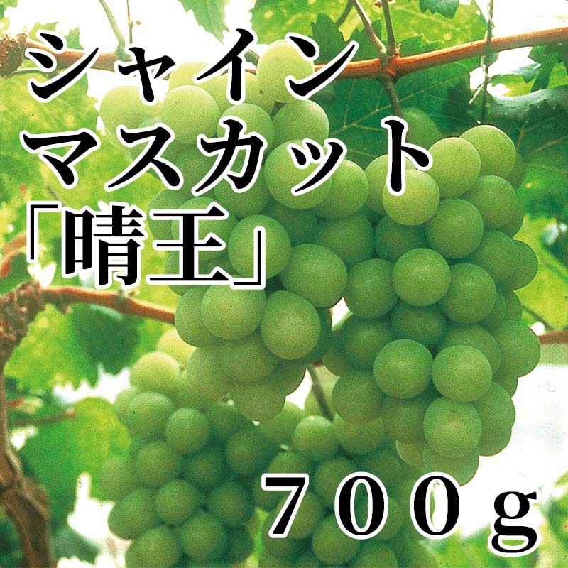 岡山県産シャインマスカット「晴王」は、瀬戸内の恵まれた風土と優れた栽培技術で、1房1房丹念に育てられた温室ぶどうです。【商品提供者コメント】 ●名称／シャインマスカット ●商品内容／700g（1房） ●原産地／岡山県　 ●原材料／●保存方法／●製造者名(加工業者名)／ 【キャンセルについて】 ●お申し込み後のキャンセルは、原則受け付けておりません。 【配送について】 ●こちらの商品は10月9日(金)〜12月14日(月)の期間内に順次お届けいたします。 また、冷蔵便でのお届けとなります。あらかじめご了承下さい。 ※農産物、水産物等については天候、作柄状況により、商品のお届けが前後する場合がございます。あらかじめご了承ください。 ●年内お届けのご希望は、2026年12月15日（火）までにお申込みください。12月16日（水）以降は年内にお届けできない場合があります。 なお、年始の発送は2027年1月6日（水）からとなります。 ●お届けまでに祝日・大型連休・年末年始等をはさむ場合、お届けに日数がかかることがございます。あらかじめご了承ください。 ●お受け取り頂けない商品につきましては、再発送、ご返金、ポイントの返還は致しかねます。あらかじめご了承下さい。 【のし・について】 ●一部の商品はのしのご希望を承ります。 ※選択肢にないのしの種類はお選びいただけません。 ※名入れはお受けできません。 ※商品によっては「短冊のし」や「簡易のしシール」でお届けとなる場合がございます。 ※ゆうパケットでお届けする商品にはご指定できません。 ●「御歳暮のし」をご指定いただきました商品は、配達希望日のご指定がない場合は2026年12月1日（火）以降順次お届けいたします。 ※青果物等、配達期間限定の商品は「御歳暮のし」をご指定いただいても、12月1日（火）以前にお届けする場合がありますので、あらかじめご了承ください。 【配達不可地域について】 ●島しょ（東京都・鹿児島県・沖縄県）の一部へのお届けについては、生もの（消費・賞味期間5日以内）・生鮮品 （果物・野菜・活魚介類）の一部・冷凍品・生花（セット商品を含む）は受付ができませんのでご了承ください。 【その他ご注意】 ※表示価格（商品代金）には送料・消費税が含まれています。 ※商品画像はイメージです。「商品内容」として記載されていないものや「小道具類」はお届けする商品に含まれておりませんので、商品内容をお確かめの上、お申込みください。 ※消費・賞味期間5日以内の商品をお申込みの場合は、お届けが消費・賞味期限の最終日になることがありますのでご了承ください。 ※青果物のサイズ指定はできません。天候によりお届け期間が変更になる場合がございます。果物については種が入る場合もあります。 ※「消費期間」は製造(加工)日から安全に召し上がれる日まで、「賞味期間」は製造(加工)日から品質の保持が十分に可能な日までをそれぞれ期間で表示しています。お届け日からの期間を保証するものではありません。 ※複数の商品がセットになっている場合、最も短い期間を表示しています。なお、法律に基づく賞味（消費）期限については、各お届け商品に記載しています。 ※花卉・花弁の開花状態及び花色、リボン、ラッピング(包装)等は多少異なる場合があります。 ※商品のパッケージ・小物のデザインは変更になる場合があります。 ※複数商品の一括送付及び同時発送はできません。また、ご依頼主様とお届け先様が同じ場合、同日のお申込みであっても商品によりお届け日が異なる場合がございますので、あらかじめご了承ください。 ※天候や生育状況等により予定の時期よりもお届けが前後することがございます。その際は、早着・ 遅延のご案内、代替商品又は解約等のご案内をさせていただく場合がございます。 【季節の贈り物に】 お年賀 迎春 お正月 年末年始 バレンタイン ホワイトデー 卒業式 卒園式 入学式 入園式 母の日 父の日 御中元 お中元 暑中御見舞 残暑御見舞 敬老の日 ハロウィン クリスマス 冬ギフト お歳暮 御歳暮 【ちょっとした手土産・プレゼントに】 御祝 御礼 謝礼 御挨拶 粗品 お使い物 贈答品 ギフト プレゼント お土産 手土産 贈りもの 進物 お返し 【お祝い・お返しの品に】 引き出物 お祝い 内祝 結婚祝 結婚内祝 出産祝 出産内祝 引き菓子 快気祝 快気内祝 プチギフト 結婚引出物 七五三 卒業祝い 卒園祝い 入学祝い 入園祝い 進学内祝 入学内祝 寿 開店祝 開業祝 新築祝