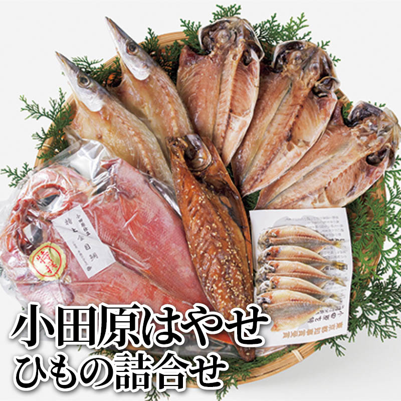 小田原はやせ　ひもの詰合せ 送料込み ギフト プレゼント 贈答 お取り寄せ お土産 (レビュー記入で300円OFFクーポン配布中)