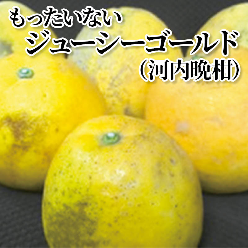 もったいないジューシ