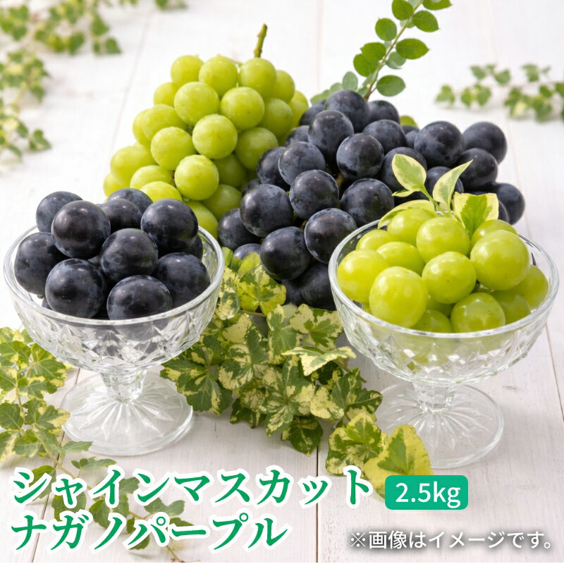 葡萄 - シャインマスカットとナガノパープル2．5kg 送料込み ギフト プレゼント 贈答 お取り寄せ お土産 (レビュー記入で300円OFFクーポン配布中)