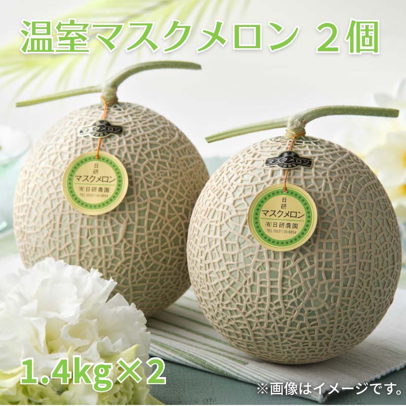 温室マスクメロン2個　送料込み 送料込み ギフト プレゼント 贈答 お取り寄せ お土...