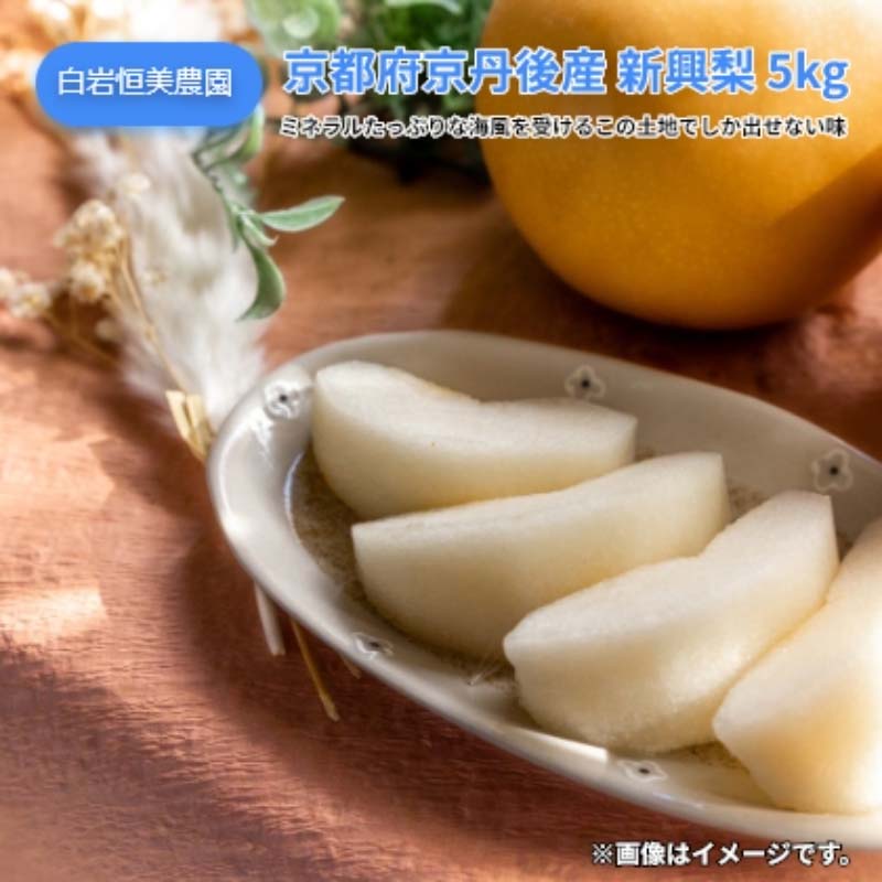 京都府京丹後産　新興梨　5kg 送料込み ギフト プレゼント 贈答 お取り寄せ お土産 (レビュー記入で300円OFFクーポン配布中)