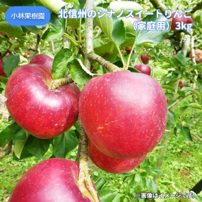 氷温冷蔵　　シナノスイート　家庭用３kg 楽天市場】シナノスイート 3kgの通販