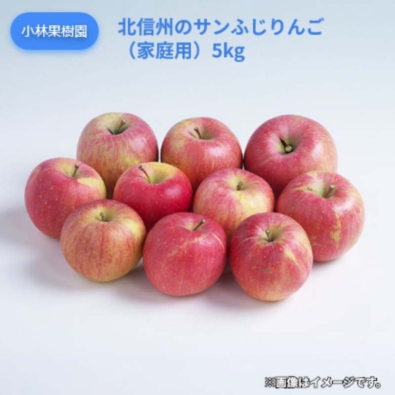 楽天市場】日付指定りんごの通販