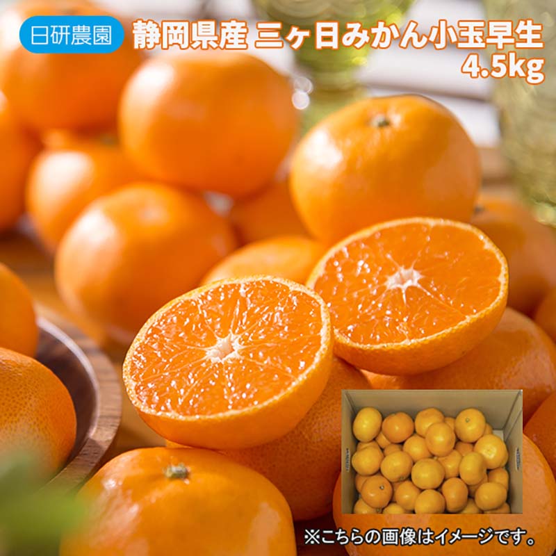 楽天市場】三ヶ日みかん 訳ありの通販