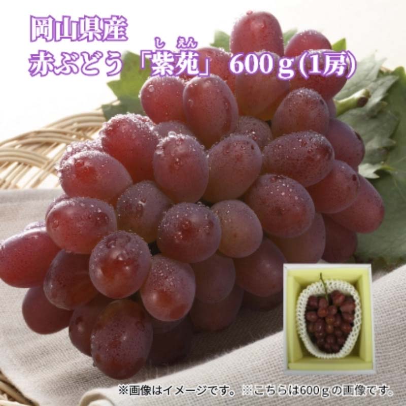ワインレッドの美しい外観の紫苑は、糖度が高く、肉質はやわらかくジューシーです。大粒で、皮離れもよく、種無しで食べやすいのも特徴です。【商品提供者コメント】 ●名称／ぶどう ●商品内容／600g(1房) 　 ●原産地=岡山県 【キャンセルについて】 ●お申し込み後のキャンセルは、原則受け付けておりません。 【配送について】 ●こちらの商品は11月2日(月)〜11月30日(月)の期間内に順次お届けいたします。 また、常温便でのお届けとなります。あらかじめご了承下さい。 ●青果物は、お届け期間内に食べごろに合わせて順次お届けいたしますので、商品到着までお待ちください。また、天候や生育状況により商品のお届け期間が前後する場合がございます。 ●お届けまでに祝日・大型連休・年末年始等をはさむ場合、お届けに日数がかかることがございます。あらかじめご了承ください。 ●お受け取り頂けない商品につきましては、再発送、ご返金、ポイントの返還は致しかねます。あらかじめご了承下さい。 【のし・二重包装について】 ●一部の商品はのしのご希望を承ります。 ※選択肢にないのしの種類はお選びいただけません。 ※名入れはお受けできません。 ※商品によっては「短冊のし」や「簡易のしシール」でお届けとなる場合がございます。 ●二重包装のご指定は承れません。 【配達不可地域について】 ●島しょ（東京都・鹿児島県・沖縄県）の一部へのお届けについては、生もの（消費・賞味期間5日以内）・生鮮品 （果物・野菜・活魚介類）の一部・冷凍品・生花（セット商品を含む）は受付ができませんのでご了承ください。 【その他ご注意】 ※表示価格（商品代金）には送料・消費税が含まれています。 ※商品画像はイメージです。「商品内容」として記載されていないものや「小道具類」はお届けする商品に含まれておりませんので、商品内容をお確かめの上、お申込みください。 ※消費・賞味期間5日以内の商品をお申込みの場合は、お届けが消費・賞味期限の最終日になることがありますのでご了承ください。 ※青果物のサイズ指定はできません。天候によりお届け期間が変更になる場合がございます。 ※「消費期間」は製造(加工)日から安全に召し上がれる日まで、「賞味期間」は製造(加工)日から品質の保持が十分に可能な日までをそれぞれ期間で表示しています。お届け日からの期間を保証するものではありません。 ※複数の商品がセットになっている場合、最も短い期間を表示しています。なお、法律に基づく賞味（消費）期限については、各お届け商品に記載しています。 ※花卉・花弁の開花状態及び花色、リボン、ラッピング(包装)等は多少異なる場合があります。 ※商品のパッケージ・小物のデザインは変更になる場合があります。 ※複数商品の一括送付及び同時発送はできません。また、ご依頼主様とお届け先様が同じ場合、同日のお申込みであっても商品によりお届け日が異なる場合がございますので、あらかじめご了承ください。 ※天候や生育状況等により予定の時期よりもお届けが前後することがございます。その際は、早着・ 遅延のご案内、代替商品又は解約等のご案内をさせていただく場合がございます。 【季節の贈り物に】 お年賀 迎春 お正月 年末年始 バレンタイン ホワイトデー 卒業式 卒園式 入学式 入園式 母の日 父の日 御中元 お中元 暑中御見舞 残暑御見舞 敬老の日 ハロウィン クリスマス 冬ギフト お歳暮 御歳暮 【ちょっとした手土産・プレゼントに】 御祝 御礼 謝礼 御挨拶 粗品 お使い物 贈答品 ギフト プレゼント お土産 手土産 贈りもの 進物 お返し 【お祝い・お返しの品に】 引き出物 お祝い 内祝 結婚祝 結婚内祝 出産祝 出産内祝 引き菓子 快気祝 快気内祝 プチギフト 結婚引出物 七五三 卒業祝い 卒園祝い 入学祝い 入園祝い 進学内祝 入学内祝 寿 開店祝 開業祝 新築祝