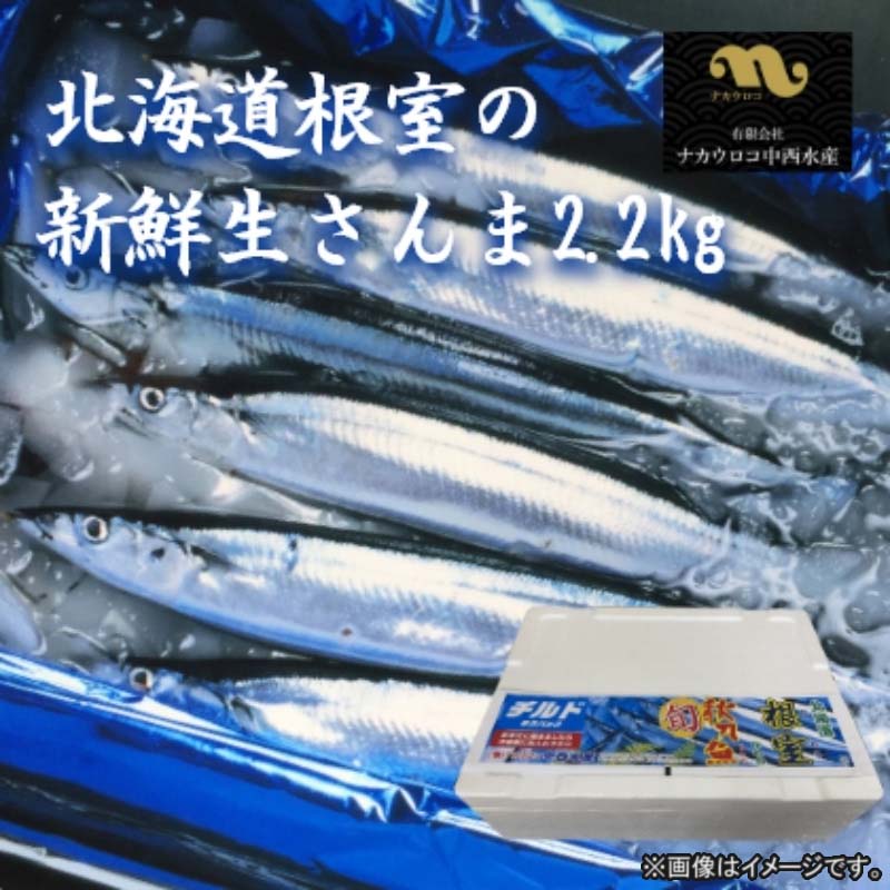 北海道の新鮮生さんま2．2kg 送料込み ギフト プレゼント 贈答 お取り寄せ お土産 (レビュー記入で300円OFFクーポン配布中)