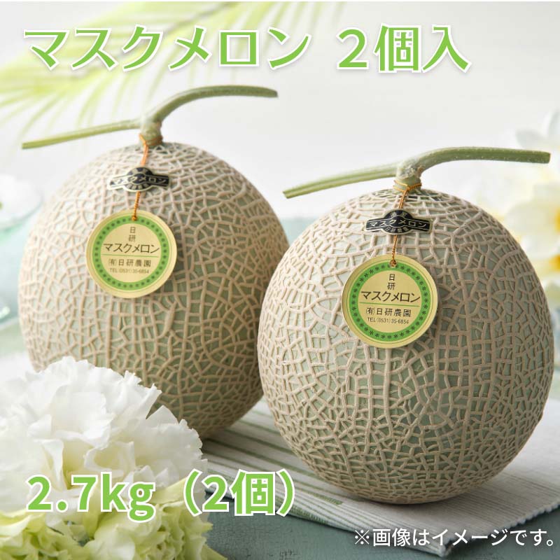 樂天商城 - メロン マスクメロン 2個入 ビッグマスクメロン 2個入 送料込み ギフト プレゼント 贈答 お取り寄せ お土産 (レビュー記入で300円OFFクーポン配布中)