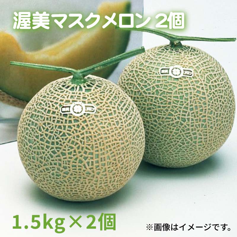 渥美マスクメロン 1個 2個 送料込み ギフト プレゼント 贈答 お取り寄せ お土産 (...