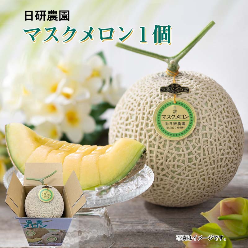 キ*ー様 高知産　贈答用　温室マスクメロン　2玉　約４，２Kg　秀品　北海道沖縄 食品 ◎*◎様 高知産 贈答用 温室マスクメロン 2玉 約4，