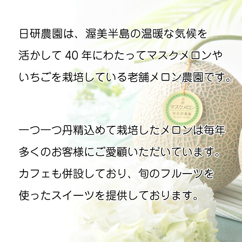 お中元 マスクメロン 2個 ビッグマスクメロン2個 御中元 夏ギフト ギフト 贈答 送...