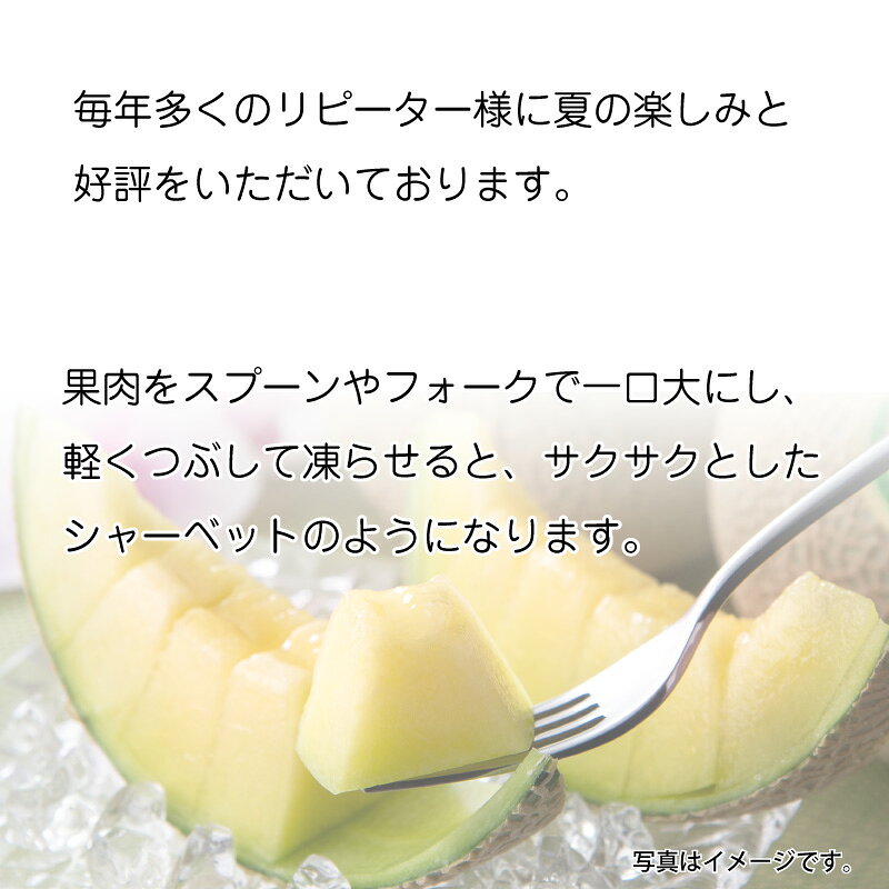 お中元 マスクメロン 2個 ビッグマスクメロン2個 御中元 夏ギフト ギフト 贈答 送...