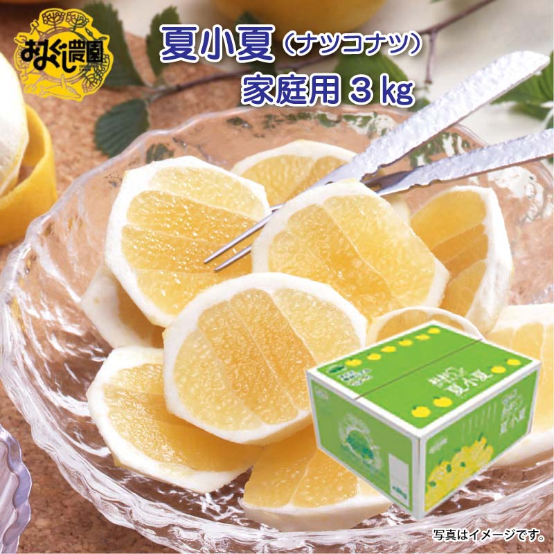 夏小夏（ナツコナツ）家庭用3kg 送料込み 送料込み ギフト プレゼント 贈答 お取り...