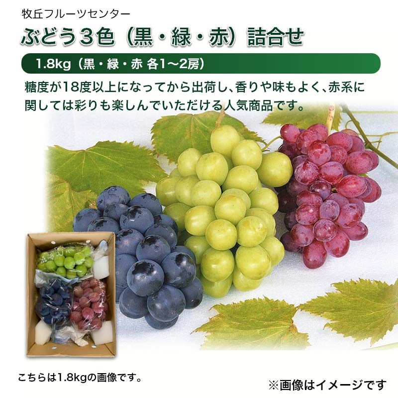 楽天市場】ぶどう 3つの通販