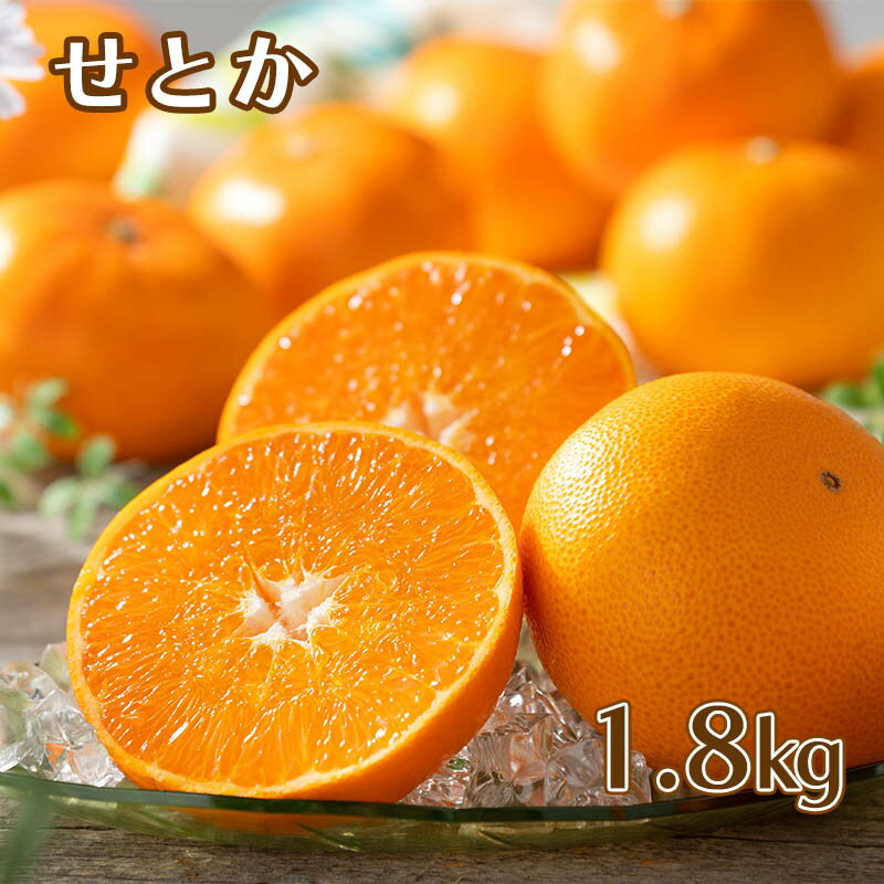 楽天市場】みかん せとか 愛知県産の通販