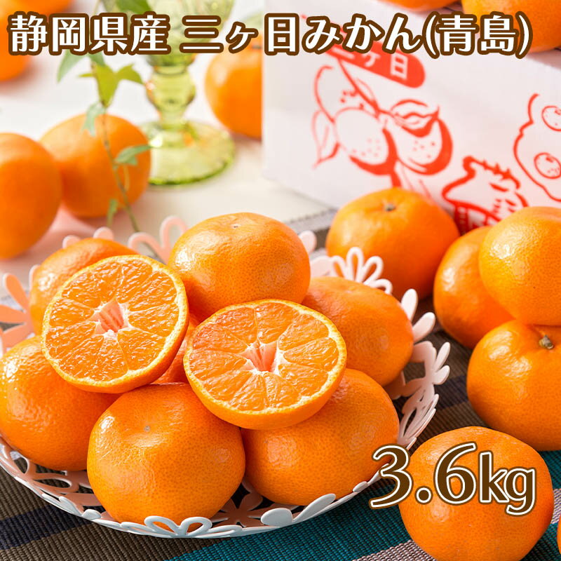 三ケ日みかん（青島）　3．6kg　送料込み ギフト プレゼント 贈答 お取り寄せ お土産 (レビュー記入で300円OFFクーポン配布中)(4)