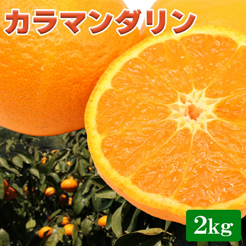 ����ޥ�����2kg �������� ���ե� �ץ쥼��� £�� ������ ���ڻ� (��ӥ塼������300��OFF�����ݥ�������)