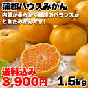 蒲郡ハウスみかん 1.5kg(M:15個) 送料込み ギフト プレゼント 贈答 お取り寄せ お土産 (レビュー記入で300円OFFクーポン配布中)