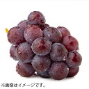 ナガノパープル 送料込み ギフト プレゼント 贈答 お取り寄せ お土産 (レビュー記入で300円OFFクーポン配布中)