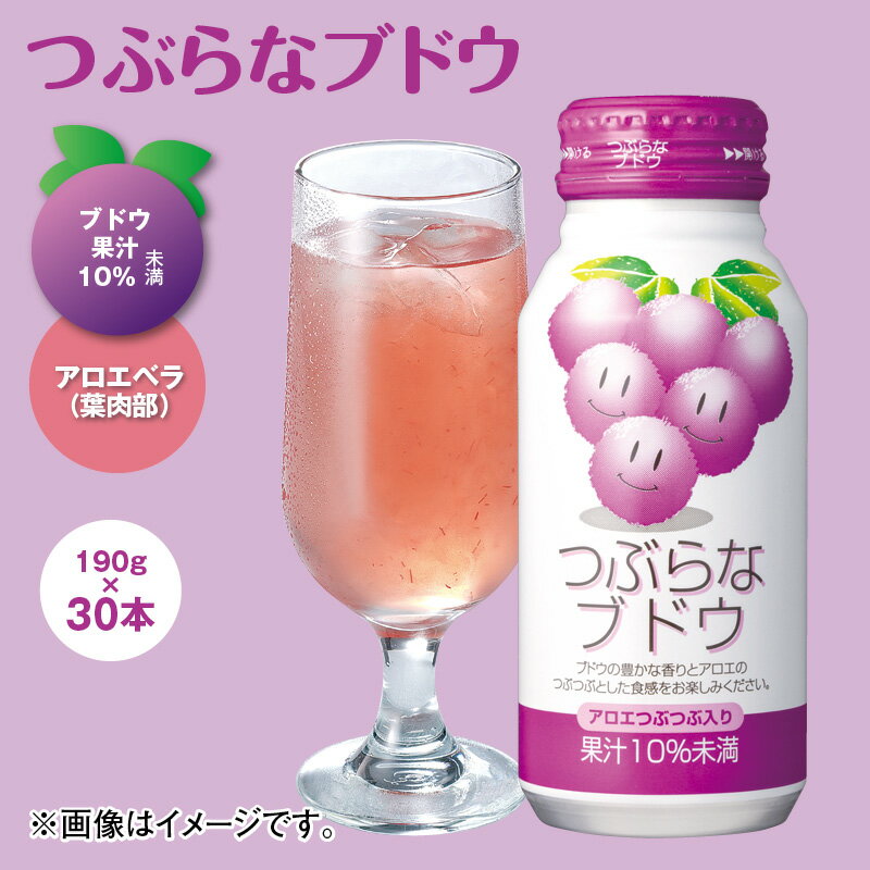 つぶらなブドウ 30本 60本 ドリンク 飲料 送料込み ギフト プレゼント 贈答 お取り寄せ お土産 (レビュー記入で300円OFFクーポン配布中)