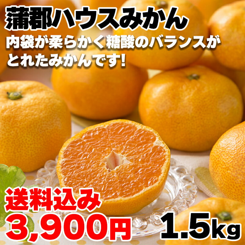 みかん 蒲郡ハウスみかん1．5kg 送料込み ギフト プレゼント 贈答 お取り寄せ お土産 (レビュー記入で300円OFFクーポン配布中)