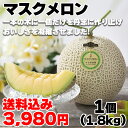 マスクメロン　1．8kg　1．45kg×2　5個 ギフト プレゼント 贈答 お取り寄せ (レビュー記入で300円OFFクーポン配布中)