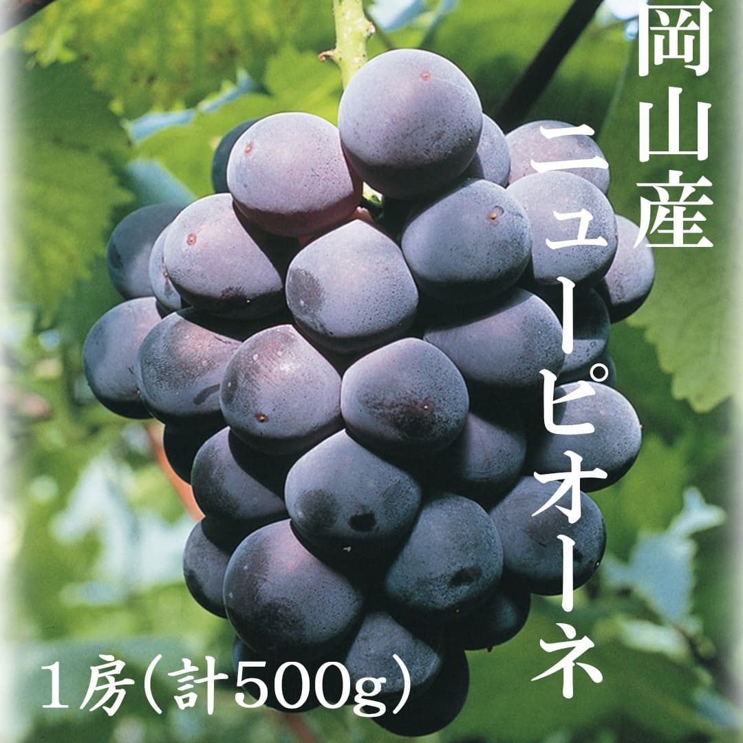 岡山県産　種なしニューピオーネ　1房 500g ぶどう ブドウ お取り寄せ フルーツ グルメ ギフト お土産 プレゼント 贈答 送料無料