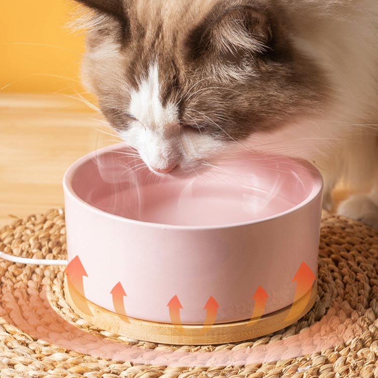 フードボウル 加熱 フードボウル 食器 猫 犬 ペット用加熱ボール 一体型 ペット保温ボウル 給水器 usb 恒温加熱 35℃ ペット 餌入れ 猫用ドリンクボウル セラミック製 犬と猫用の温水ボウル 恒温温水ボウル お留守番対応 四季節対応 冬季加熱 大容量 350ML 清潔で衛生 2