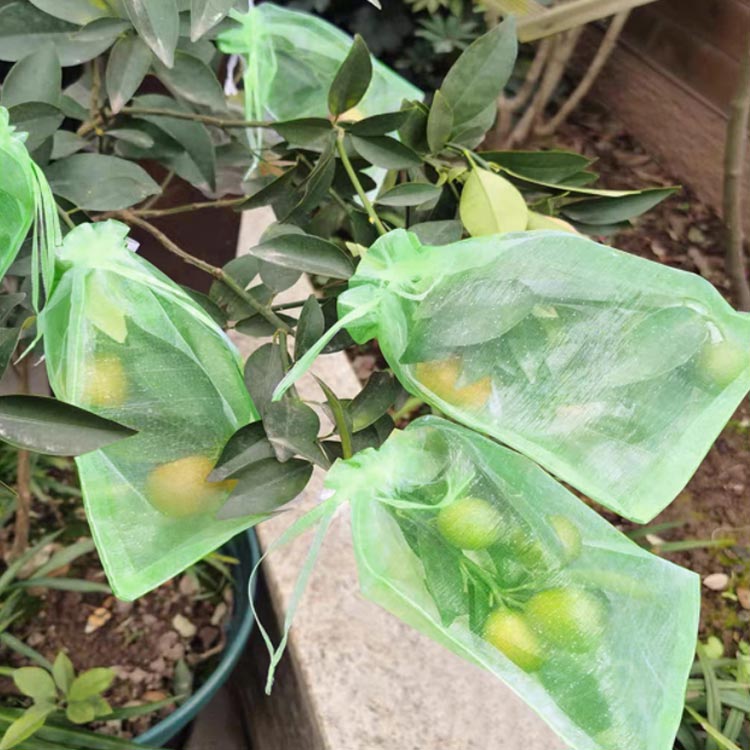 果実袋 100枚入 果実 掛け袋 保護ネット 防虫ネット 害虫予防 傷予防 鳥よけネット...