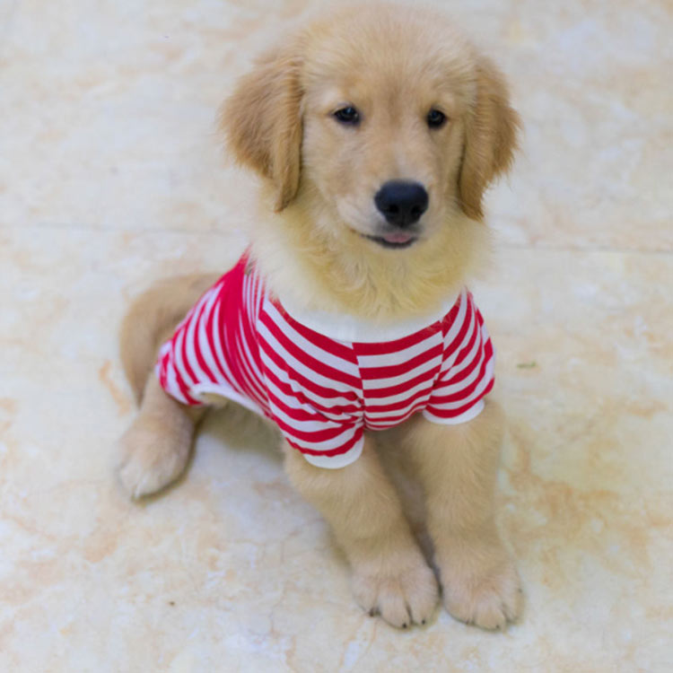 ジャパンSelectの全12サイズ・送料無料! 中型犬 ドッグウェア 小型犬 アウター ペット服 大型犬 犬服 犬 愛犬 ペットウエア ペット用品 タンクトップ ペット トレーナー コート ジャンパー ドッグ服 オールインワン 長袖｜アングル3