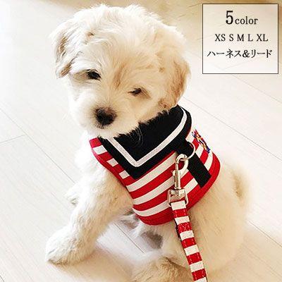 Harness Leash - ペット用 犬用 ハーネスとリード2点セット ベスト型ハーネス（胴輪）＆リード ストレスを軽減　軽量　メッシュ 通気性あり　マジックテープと