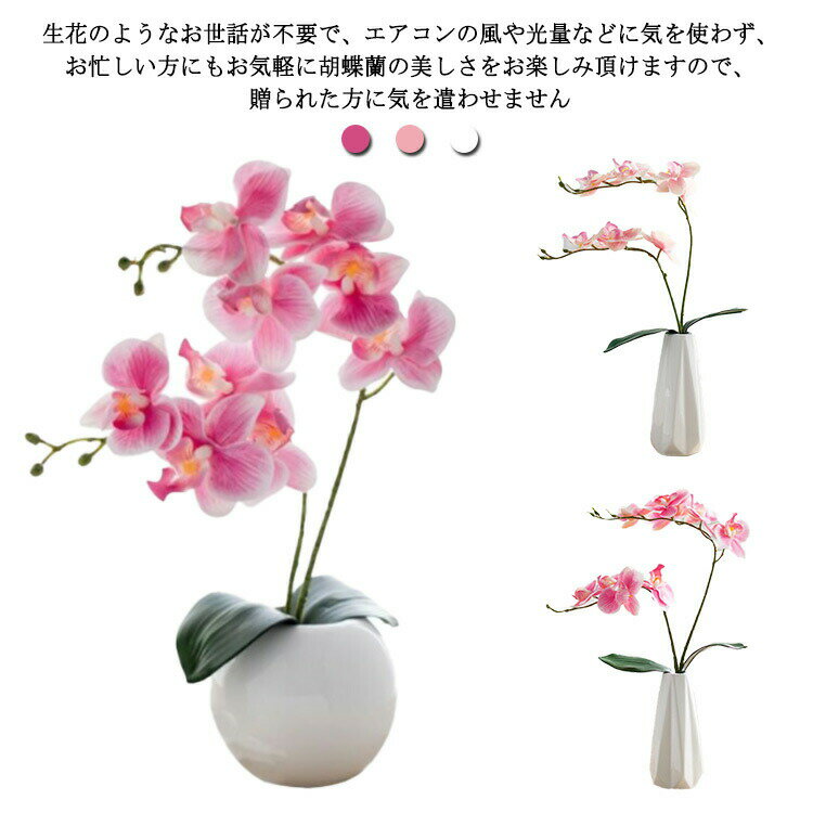 挂壁 - 胡蝶蘭 白 ミニサイズ 開院祝い 2本立ち 光触媒 造花 開店 Sサイズ 鉢花 ピンク プレゼント ミニサイズ アートフラワー お見舞い テーブルサイズ コンパクト 母の日 父の日 お祝い