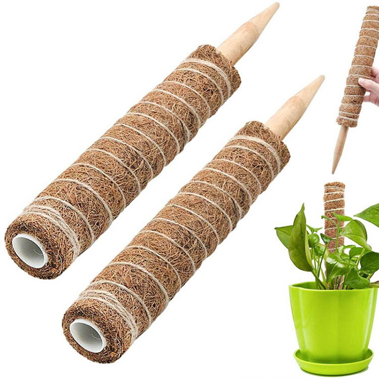 Rakuten - 支柱 植物支柱 鉢植え ココナッツ支柱 30cm 40cm 50cm つる性 園芸用品 コナッツパームスティック ガーデニング支柱 おしゃれ 植物支柱 観葉植物