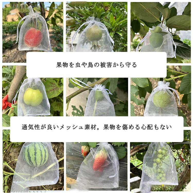 ネット150枚保護果物ネット家庭菜園果物保護袋保護ネットネット果物保護袋果樹袋10...