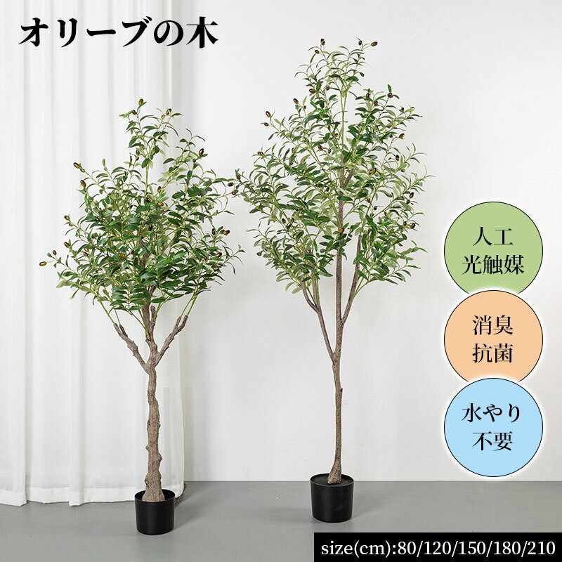 Other Aquatic Plants - オリーブの木観葉植物80/120/150/180/210cm人工光触媒消臭抗菌水やり不要リアルな葉オリーブフェイクグリーンインテリアグリーンかわいいリビング玄関人工観葉植物消臭人工植物おしゃれ造花抗菌