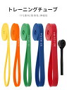 トレーニングチューブ 懸垂 チューブ レジスタンスバンド トレーニング チューブ ゴム フィットネスバンド 高負荷 筋トレ 懸垂 補助バンド パワーバンド