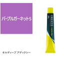 お買い物マラソン限定★店内全商品対象★200円引きクーポン配布中★オルディーブ アディクシー パープルガーネット5 80g【医薬部外品】