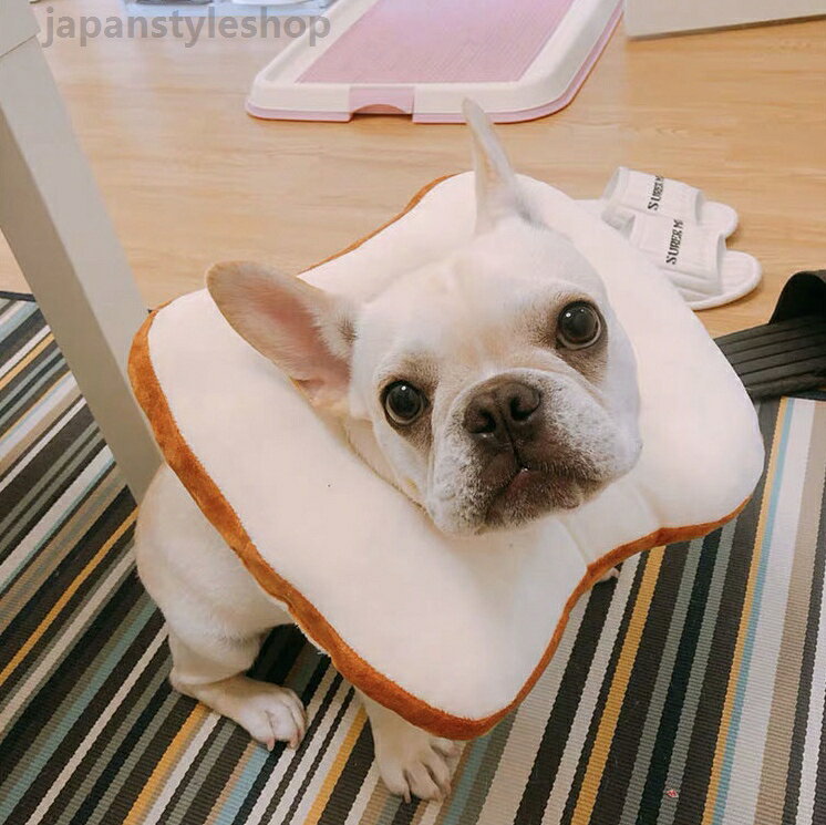 クッション 猫 猫用エリザベスカラー 犬 犬用 ペット エリザベスカラー パン トー...
