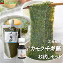 【お試し】アカモク 千寿藻 300g タレ付き / 玄界灘産 国産 産直の鉄人 保存料無添加・無着色 キャップ付き チューブ入り あかもく ぎばさ ギバサ ボイ...