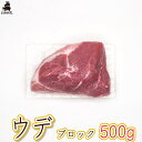 【銘柄豚ジャパンエックス】【ウデ ブロック肉 500g】ヘルシー 豚うで肉 塊肉 冷蔵 国産豚肉 JAPAN X