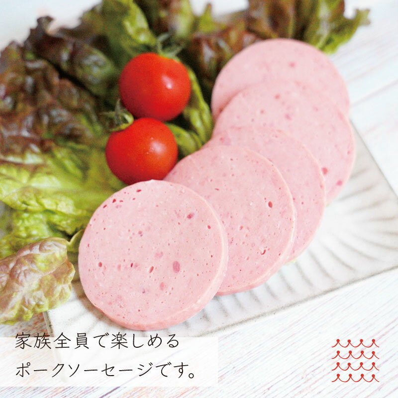 �ڥ���ѥ󥨥å����ۡڥݡ������������� 300g�ۥ��������� ������ JAPAN X