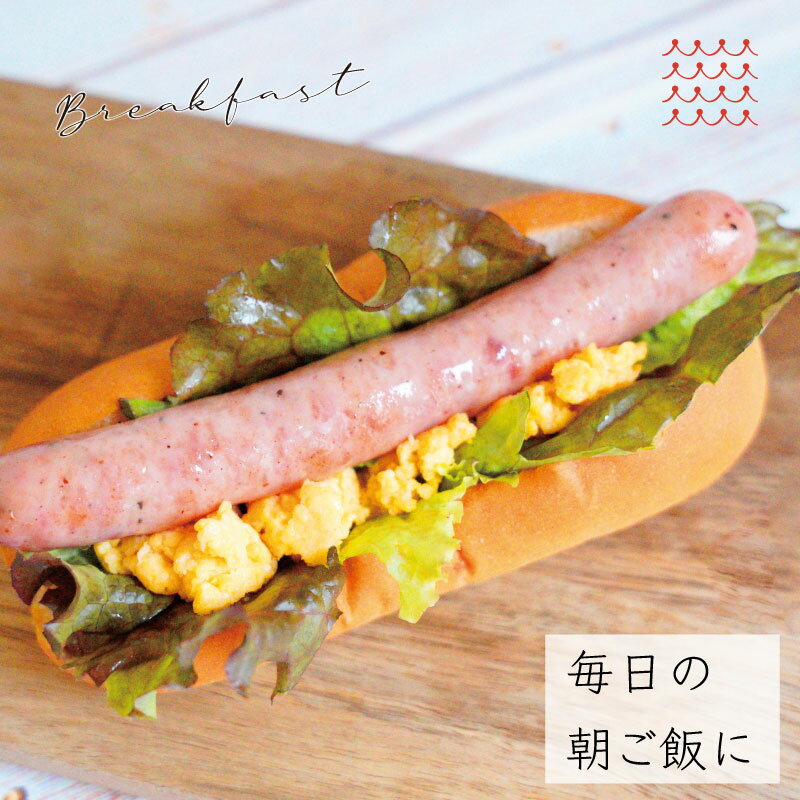 �ڥ���ѥ󥨥å����ۡڥإ륷��������ʡ� ñ�� 40g��4�ܡ� ���塼���� ������ʡ� ������ JAPAN X