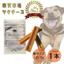 【楽天1位 】自然な製法にこだわった ヒマラヤ ヤクチーズ スティック Mサイズ 約70g 1本 Himalaya Yak Milk Cheese ハードタイプ 犬用おやつ 犬の歯の健康 ペットフード ヒマチ― 犬用ガム ヤ…